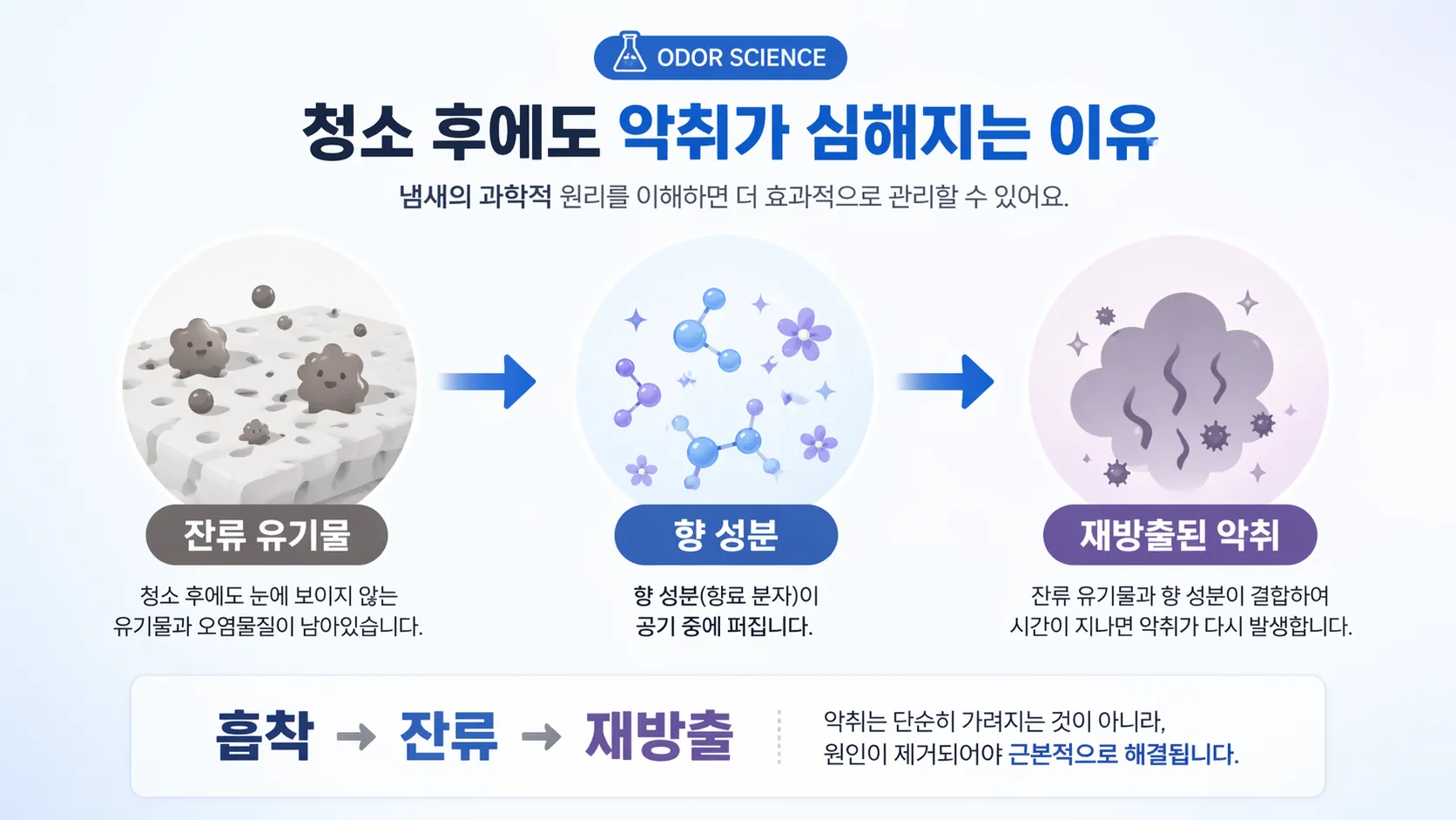 잔류 유기물과 향 성분이 결합해 냄새가 다시 올라오는 구조를 보여주는 이미지